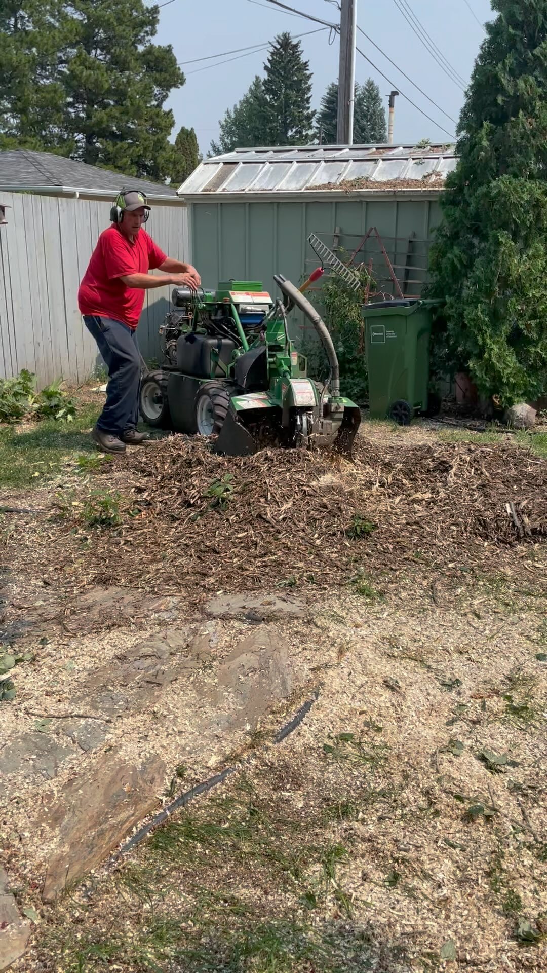 Now this is stump grinding !!!!! #treeremoval#stumpgrinding