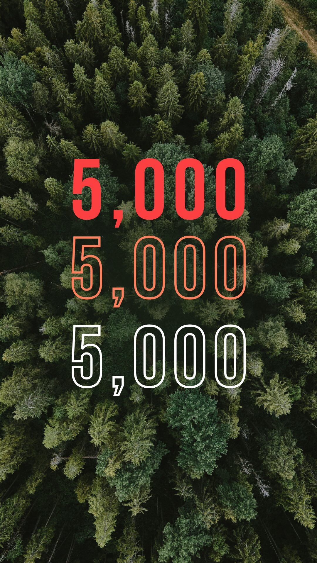 Thanks to the collaborations between us and our amazing clients, Grizzly has managed to fund the planting of over 5,000 trees🌲
Investing in the planet to create a better place is one of our core commitments, and reaching this milestone means we’ll be working hard to reach the next one.
For every full video or animation project, we fund the planting of at least 100 trees through our partner Eden Reforestation Projects. So join us on our tree-planting journey!
#grizzly #treeplanting #environment #forests #climatechange #climateaction #sustainability #film #filmmaker #filmmaking #cinematography #animation #advertising #marketing #filmproduction