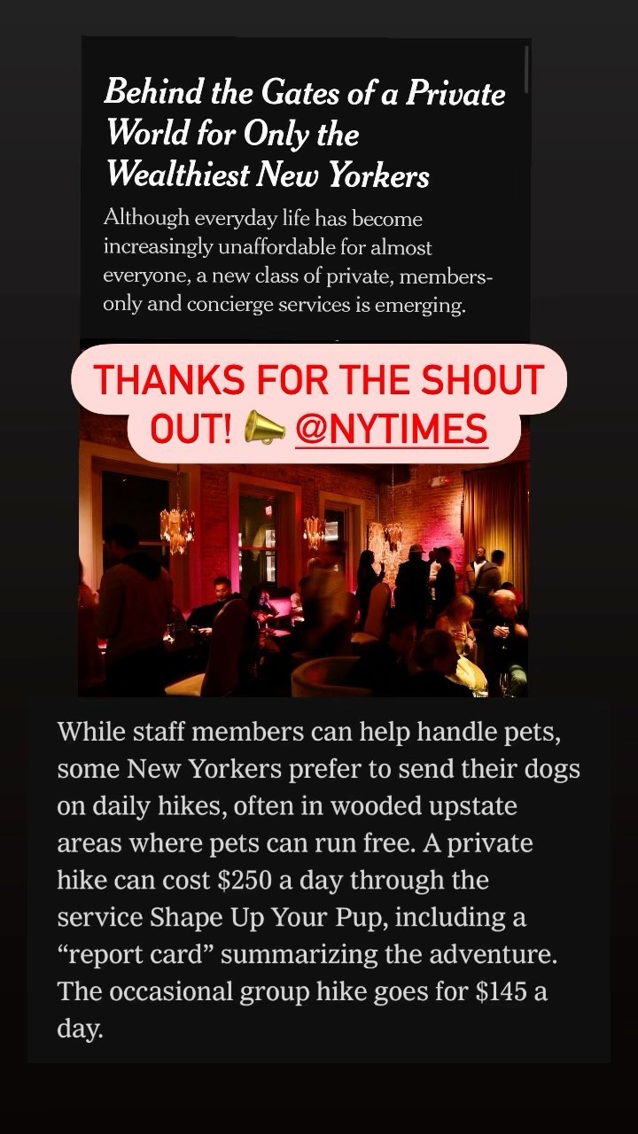 That time @shapeupyourpup got a surprise shoutout in the @nytimes 🔥