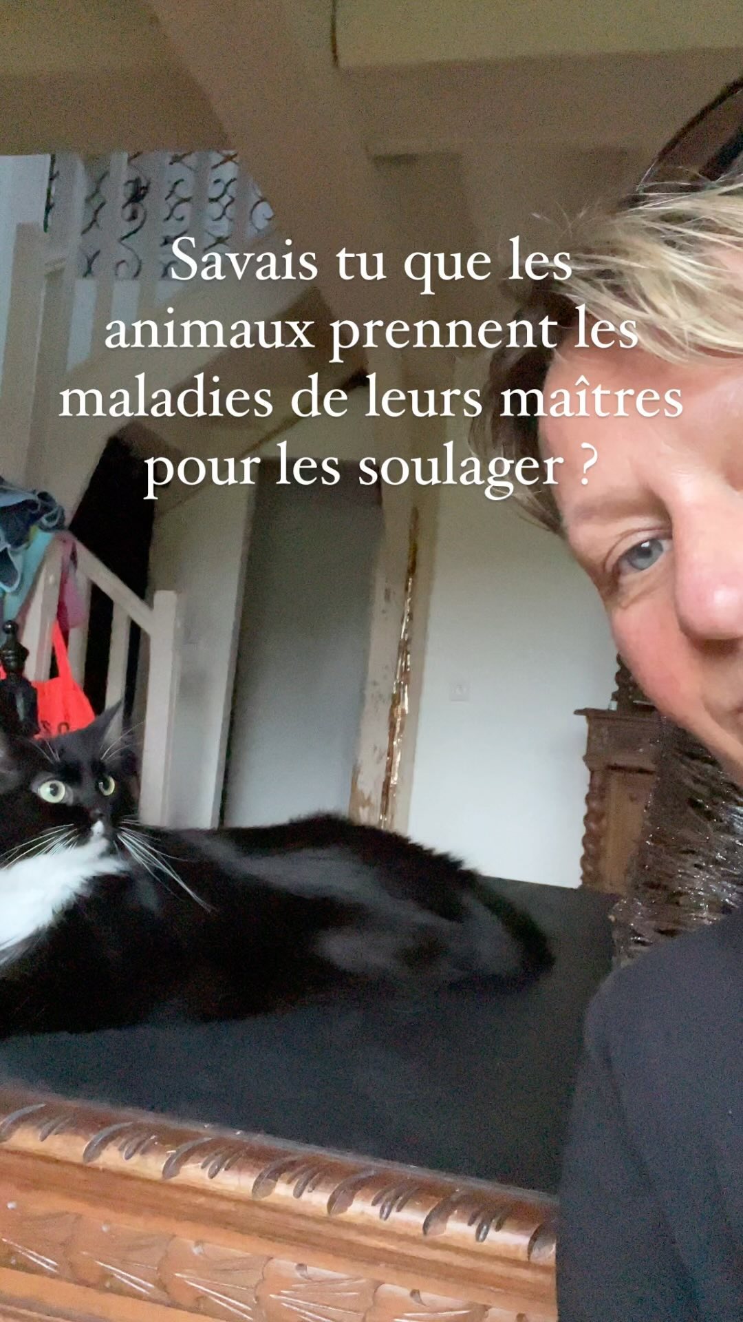 J’ai un énorme respect pour le règne animal, ils sont bien plus que ce que l’on en perçoit :
Ils protègent, consolent les plus tristes, réconfortent les enfants et se sacrifient pour ôter la maladie de leurs maîtres.
Je l’ai constaté un grand nombre de fois.
De quoi souffre ton animal ?