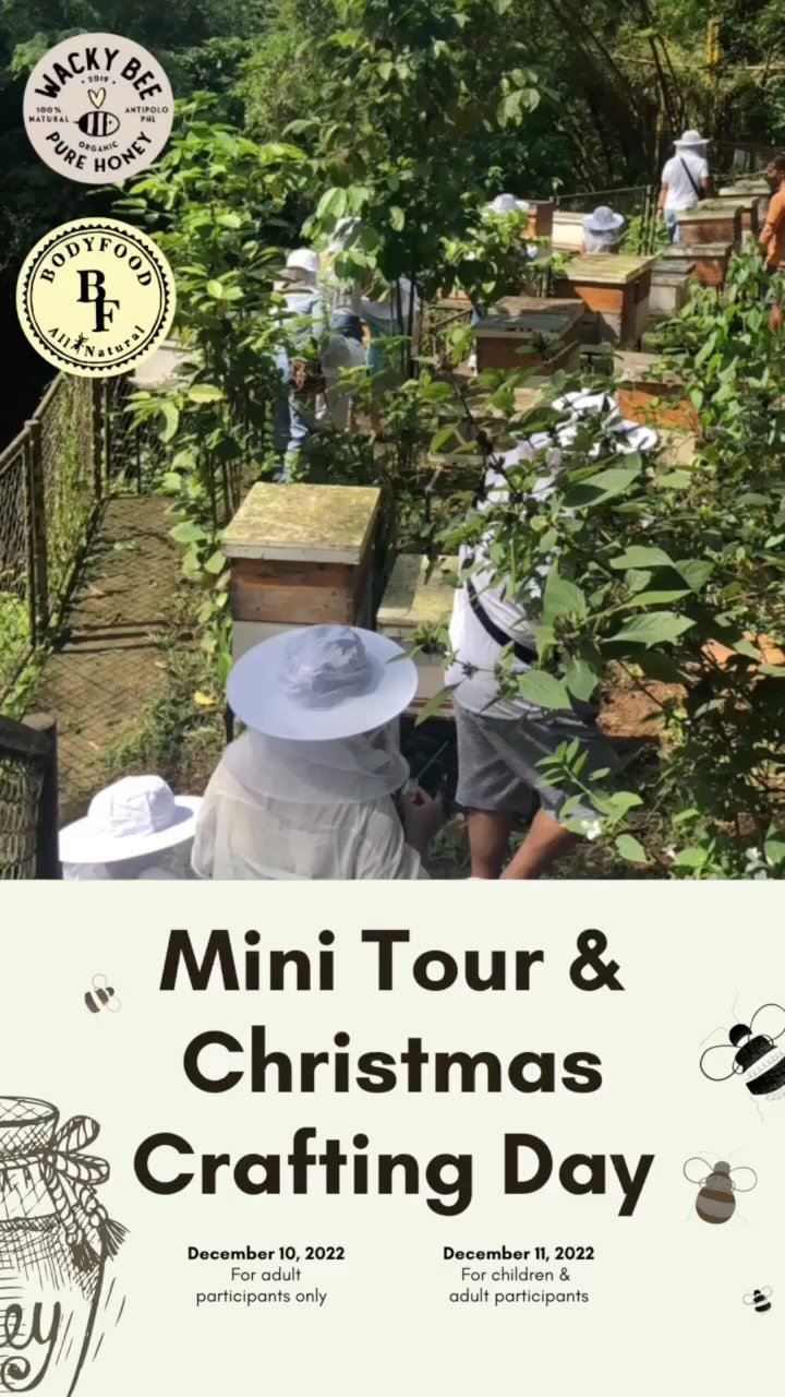 Send us a DM to know more about the next Apiary Tour & Christmas Crafting Day with WackyBee & BODYFOOD All-Natural! 🍃🐝
