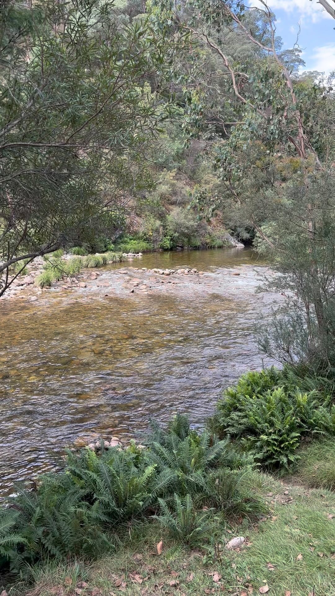 As the season draws to a close, here is a little reminder of the summer rivers. Hit us up if you’re after a rod for next season too.
.
.
#keepemwet #flylife #flyfishingaustralia #flylifenation #flyfishingNZ #flyfishinglife #troutbum #flyfishing #catchandrelease #flyfishinglife #flyfishingsaltwater #saltwaterflyfishing #flyfishingonly #flytying #flyfishingadventures #flyfishingaddict #flyrod #flyfishingjunkie #flyfishingnation #saltwaterflyfishing