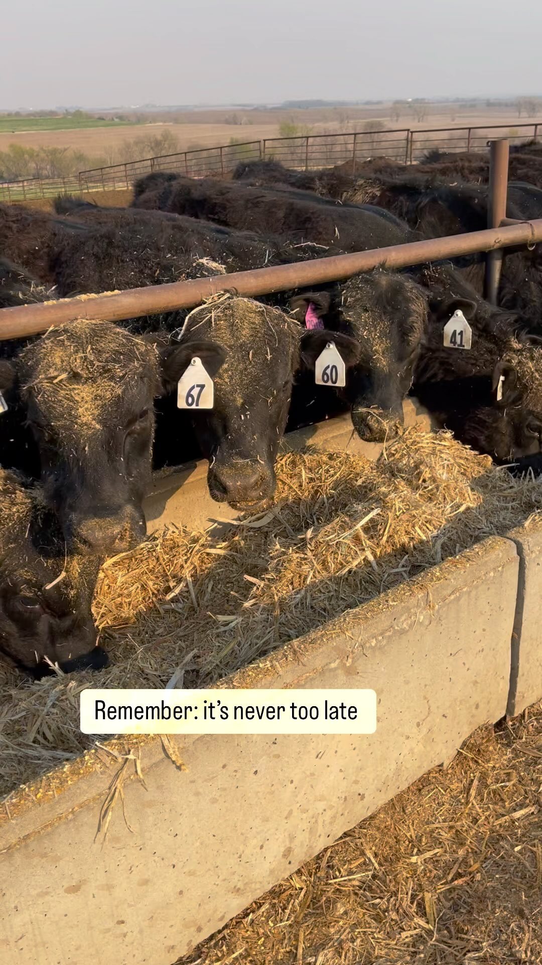 Don’t count the days…make the days count!
#ranchinglegacy #workingranch #agvocate #farmlove #ranchlife #ruralliving #midwestliving