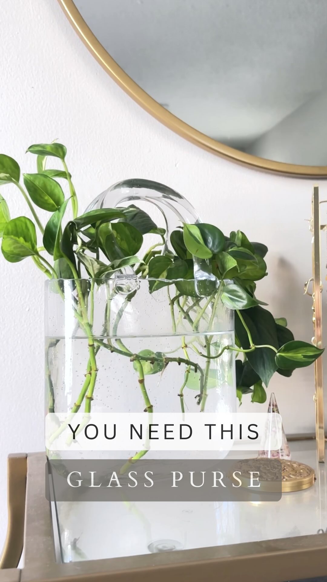The roots are starting! These are going to be so fun to watch grow 😍
🛍️ Links to products & special discount codes in bio! *I’m no longer using the link automation so commenting ‘links’ will no longer work! 🩵
#pursevase #glasspurse #amazonfinds #amazonaffiliate #trendingproducts #plantfind #plantpropagation