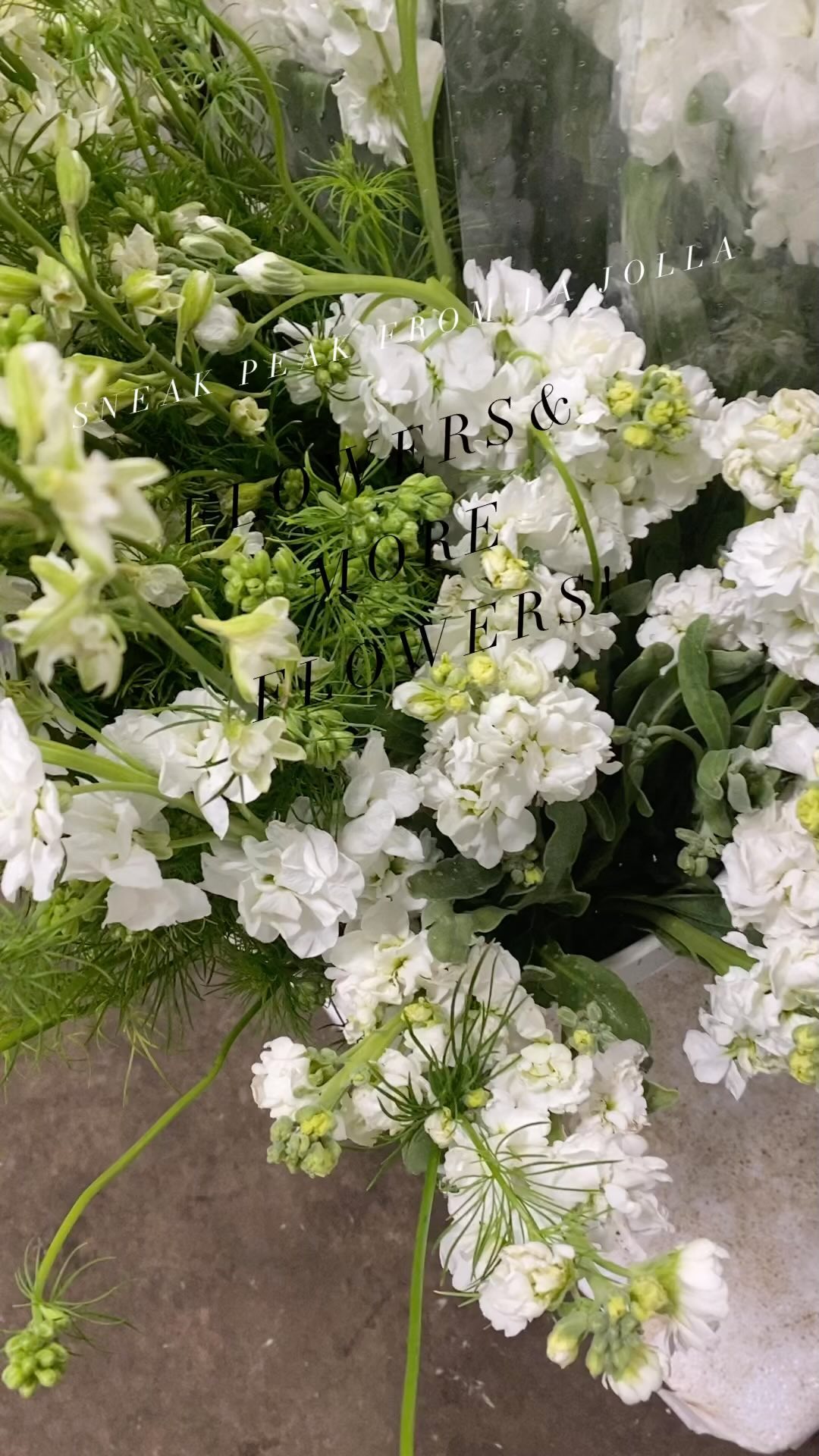 Sneak peak! In California creating for a special bride! More to come in our flower adventure! Huge shout out to @mayeshcarlsbad amazing flowers and people to work with @faithkohl.florist for sticking out some long hours!!