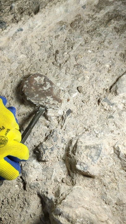 A perfect Levallois flake π€©
.
.
.
.
#prehistory #excavation #archaeology #lithics