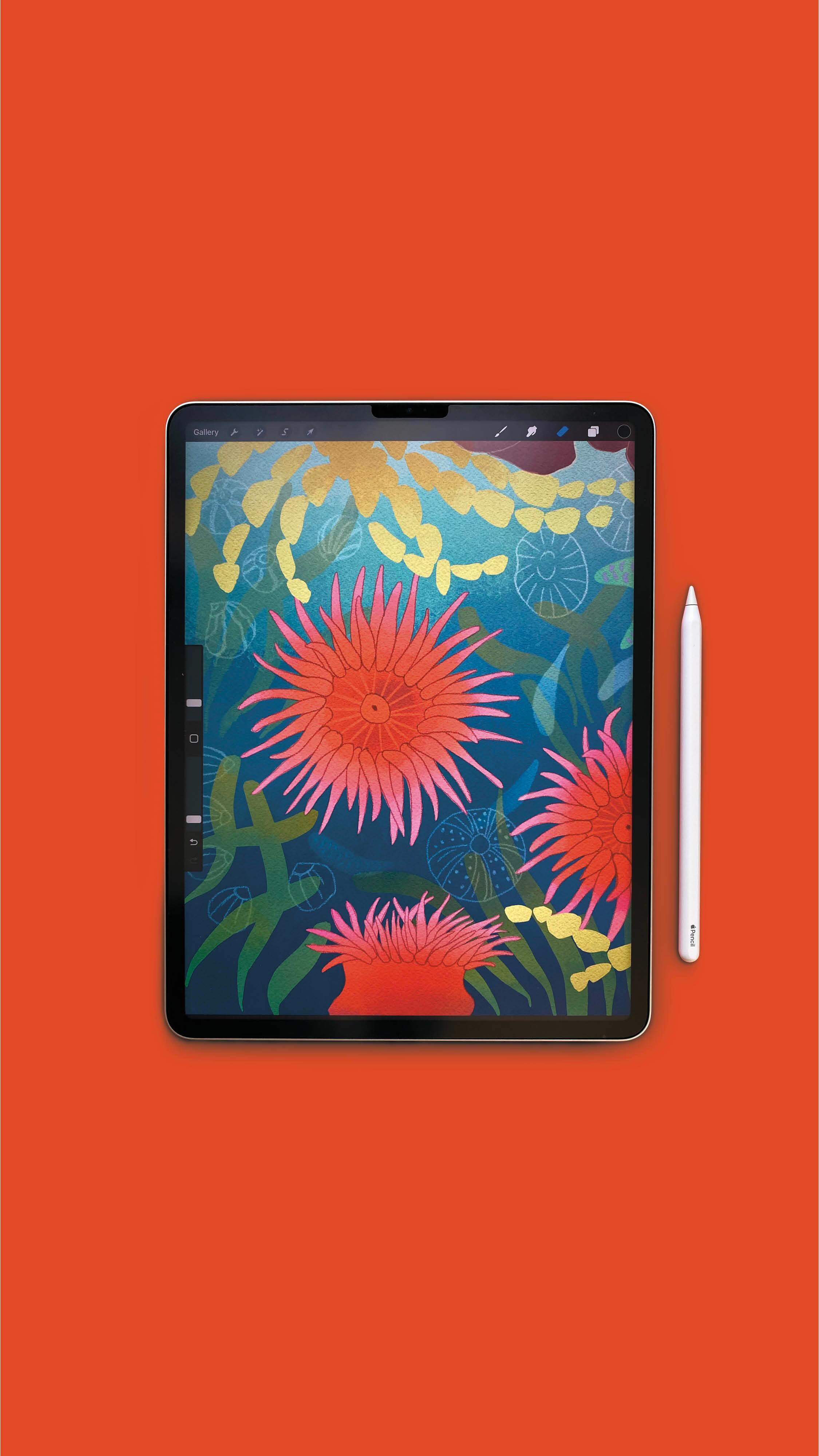 A little sneak peek at an illustration I’m working on for a new book! Love the treasures you can find in a rock pool 💙💙
.
.
.
#illustration #procreate #ipadpro #childrensbooks #australianbooks #localbookshop #jervisbay #shoalhaven #bookdesigner #bookillustration #bookillustrator #graphicdesign #graphicdesigner #naturalillustration #marinelife #marinelifeconservation #nswparks #nsw #boodereenationalpark #anemone