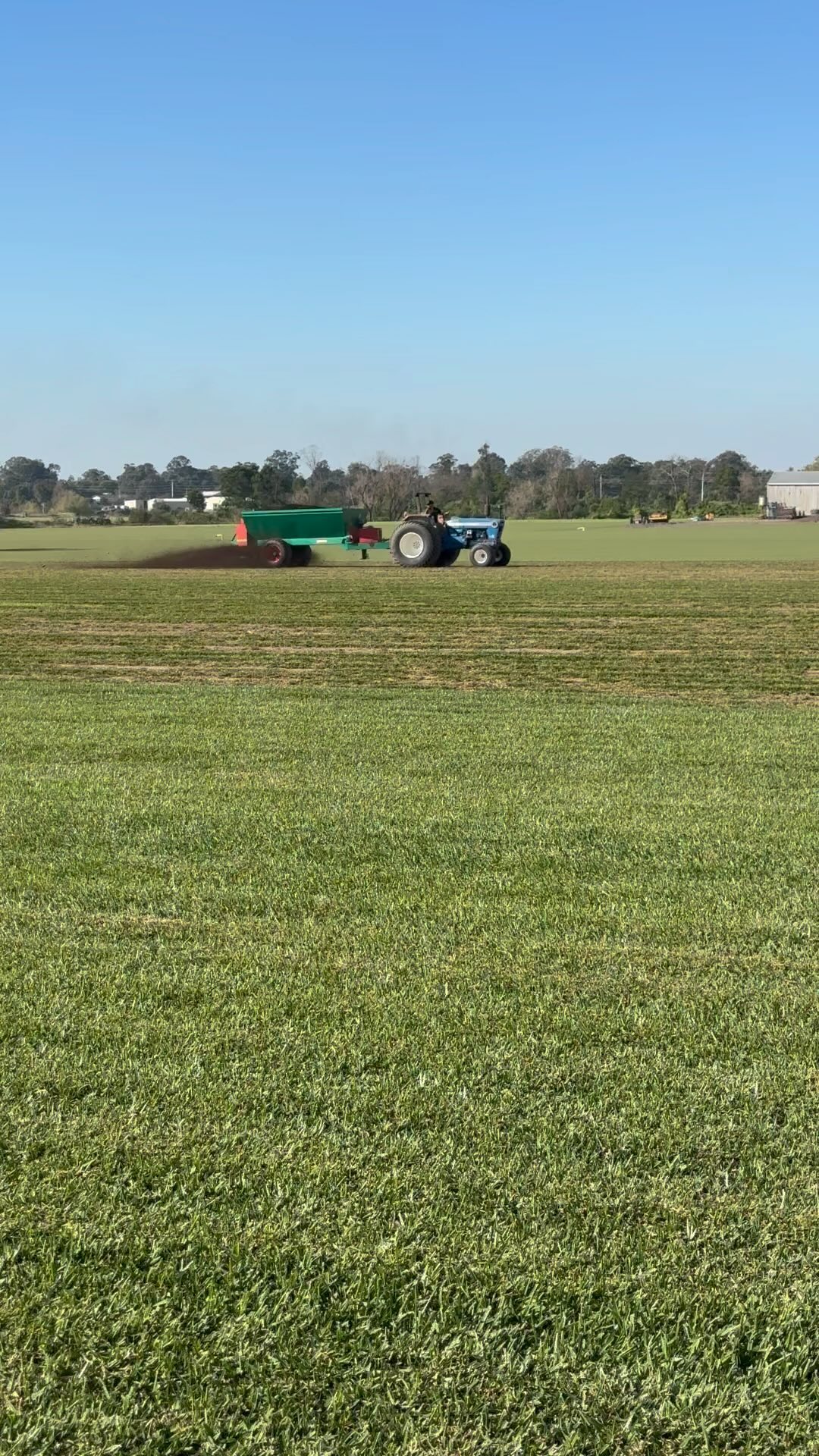 Spreading Chicken manure, which contains nitrogen and phosphorus that is great for supporting root development and new green leaf growth in our buffalo and kikuyu paddocks. ๐๐ฉ๐๐๐ฑ #turf #turfmaintenance #chickenmanure #greengrowth #lawncare #turfsuplier #turfsupplies #awesometurf #turfgrassmanagement