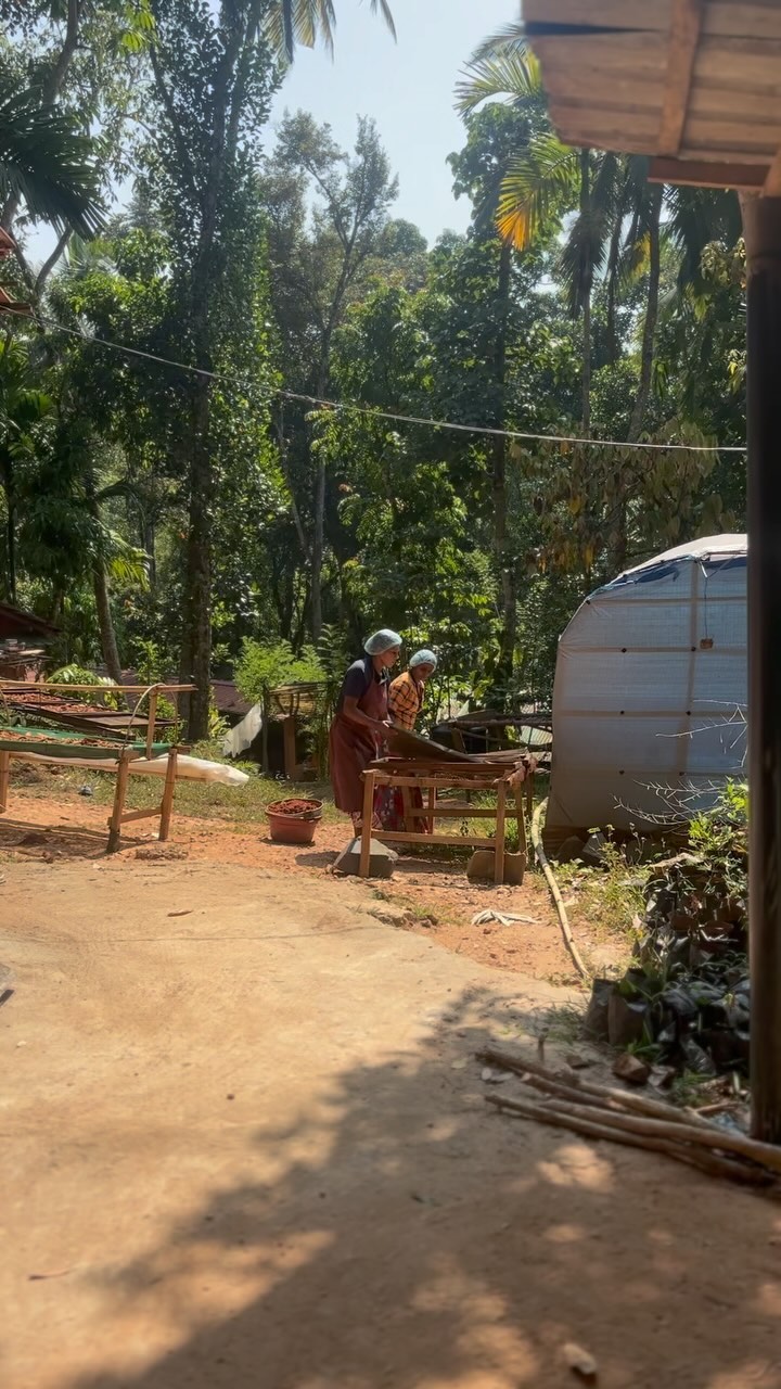 Dreaming of those sunny days now that the rain is pouring down!
☔️☔️☔️
On days like today, we rely on our very own design wood dryers to process our spices. To contribute to our environmental promises this process requires no fossil fuel to be burnt and very little electricity is consumed - used only to work the small fans that circular air within the dryers.
Here at @ekoland_produce we understand each and every one of our roles in dealing with climate change- one of the biggest challenges facing our world today and are highly committed to play our part in addressing it.
#climatechange #environment #eco #organic #ethical #nature #creative #srilanka #spices #coffee #asia