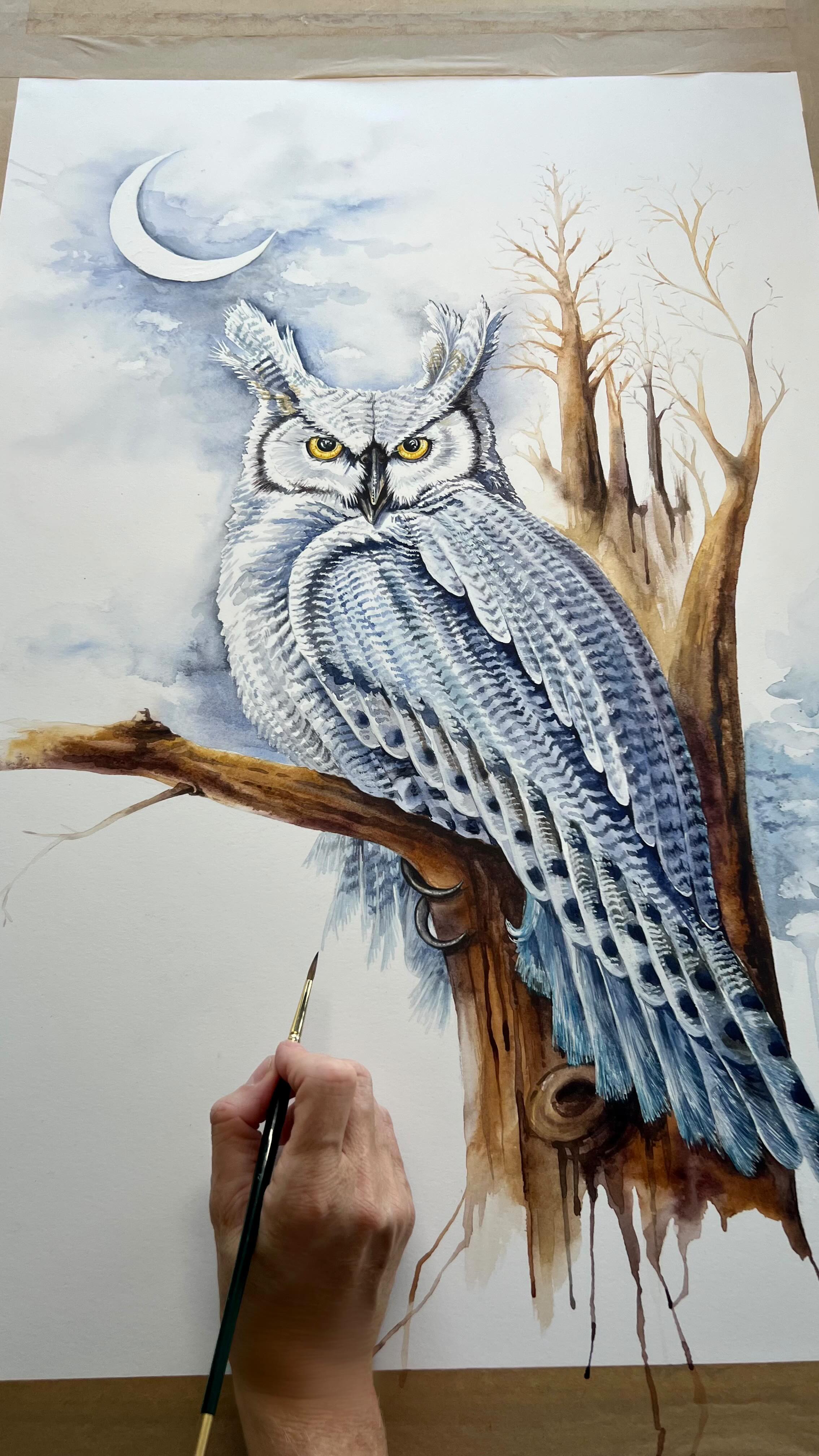 This is Howler 🌙 💫 manifested from a logo, his piercingly sage gaze reflects hopes and dreams right back at you ✨✨✨
Pure watercolour, ~480x700mm
It was really fun to free myself from usual adherence to scientific accuracy and technical detail. Watercolour can be so unpredictable when wet, but you can gain control with patient layering and dry-brush detail on top 💫
@thepavilionbyhowlingowl @howlingowluk
#owl #owlart #watercolour #surreyartist #howlingowl #artwip #watercolourreels #mumlife #godalmingcommunity