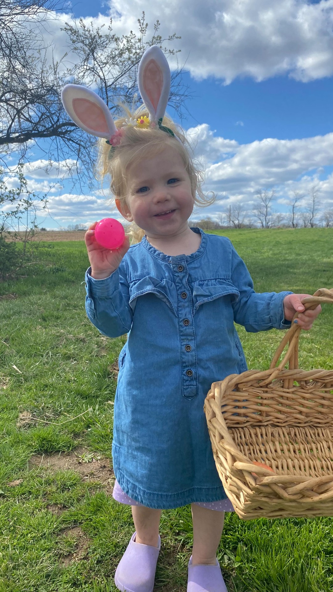 Egg hunt 2025 at the farm!
So much fun watching all the kids hunt for eggs through the orchard and around the animals.
We had many new faces joining us this year and we hope we can continue this tradition bringing new friends and old back to the farm every spring 💜
#egghunting🐣 #familyfarm