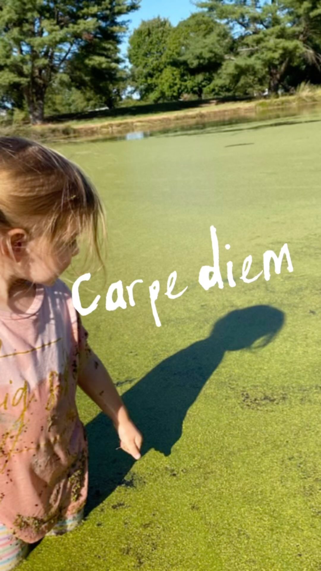 Children teach you a lot about life 🧘🏽♂️ #nature #outdoors #meditation #wisdom #life #zen #carpediem #duckweed #fish #parenting #aqua #water #summer #happy #vibezone #vibes #vibing #vibewithus #vibecheck #chill #namaste #countrygirl #tennessee #tennesseefam