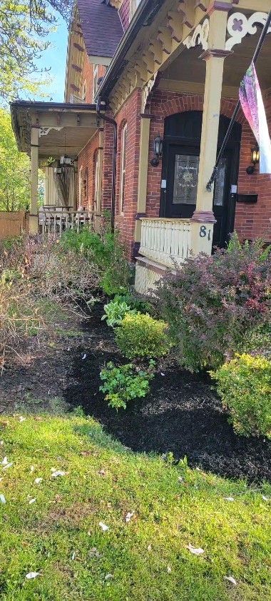Clean-up is done on the yoga garden, and Ganesha got a paint job!
This week, we will plant grass seed where the ginko berries slept for the winter.
We look forward to the return of outdoor classes and events in early June....stay tuned!