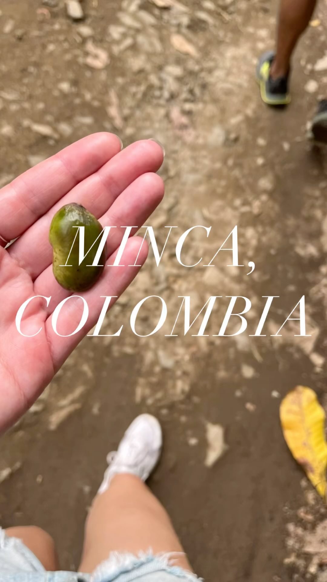 Come check it out with us. #minca #colombia #daytrip