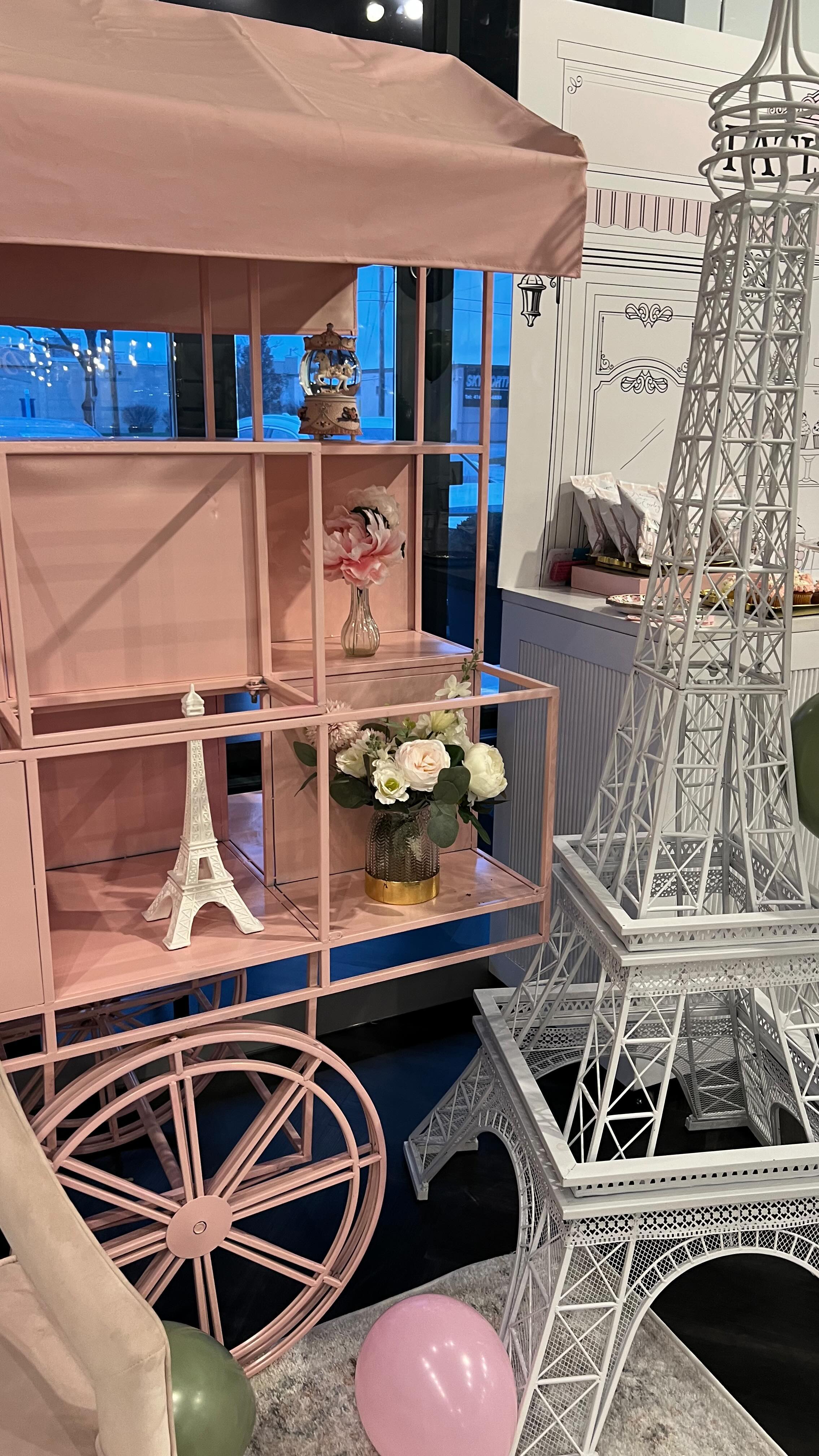 Adriana & Everley in Paris ๐ซ๐ท๐ฅ๐ The concept was @emilyinparis meets @loveshackfancy and we loved every pretty little detail for our girls ๐
#lachicsoiree #eventplanner #weddingplanner #party #event #birthdayparty #kidsbirthday #kidsbirthdayparty #emilyinparis #parisian #toronto #styleinspo