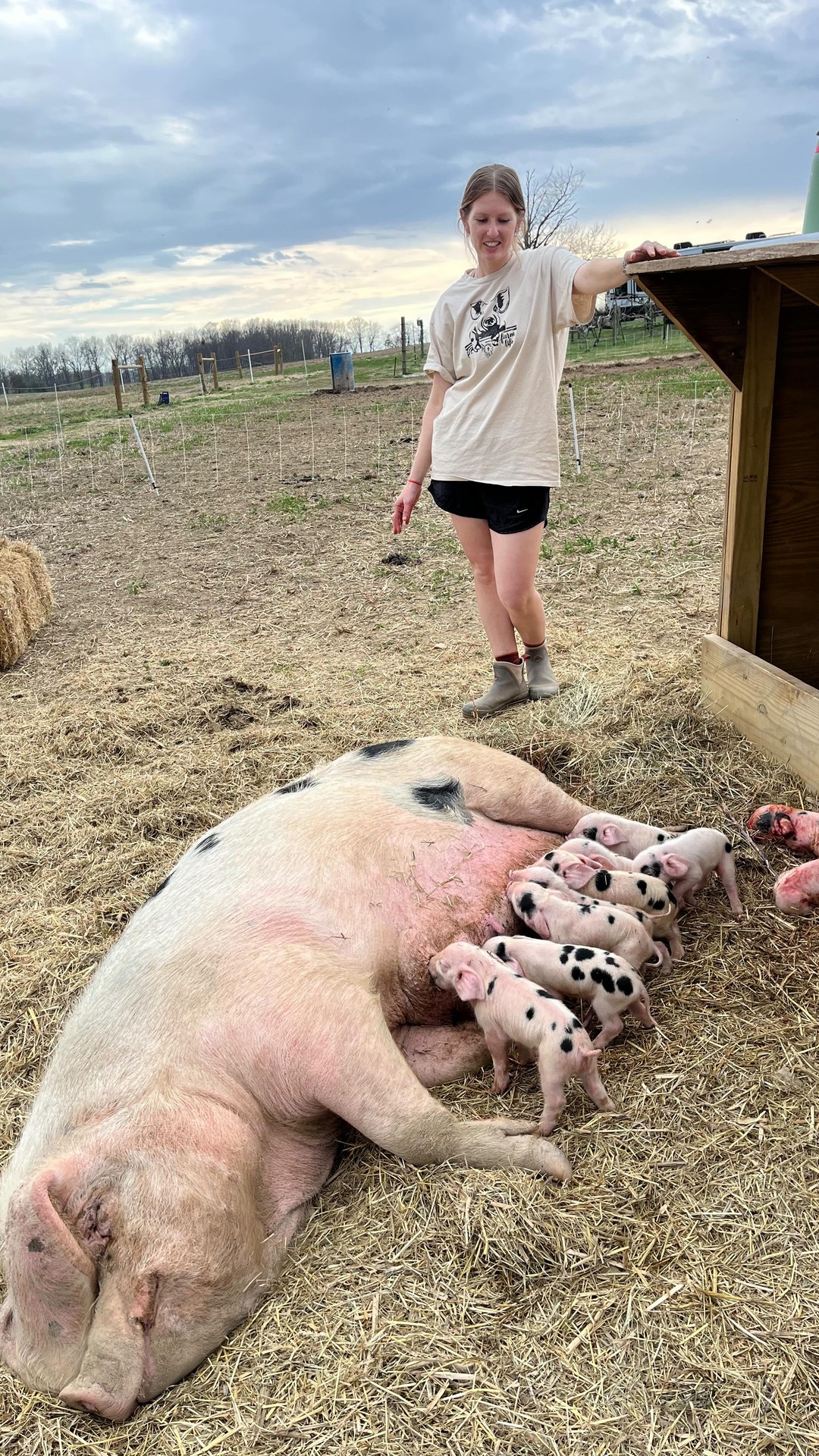 Surprise piglets 🐽 10 healthy little bacon seeds came a couple weeks before we were expecting them!
#smallfarms #regenerativeagriculture #farmstand