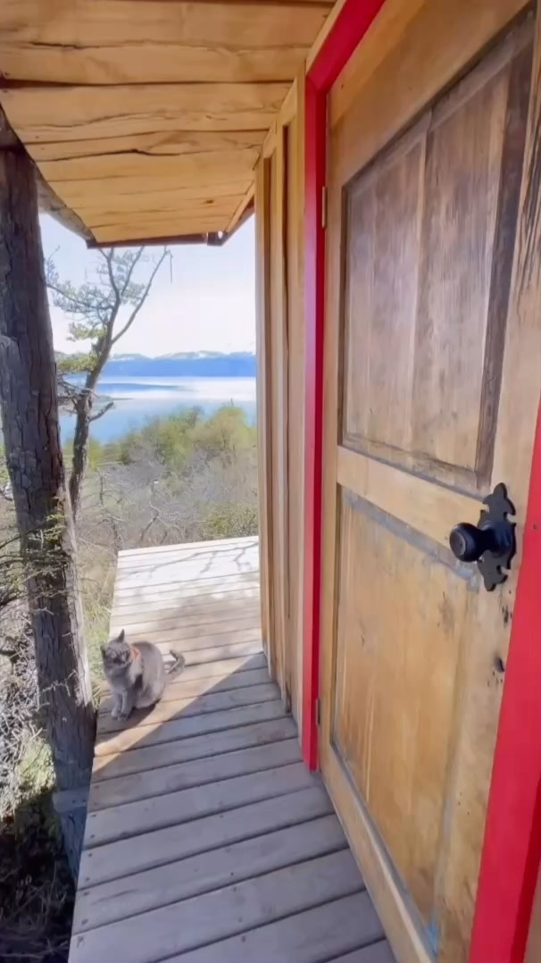 Esta temporada ven a visitarnos y a disfrutar de nuestro refugio o de nuestro camping! Ven a relajarte y conectar con la naturaleza, mientras aprendes de vida sostenible y permacultura! 💚
#patagonia
#aysen
#permacultura
#puertoguadal