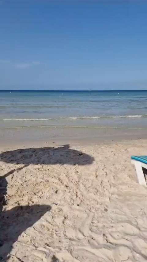 recharging in nature before forest school starts back on 7th Nov.