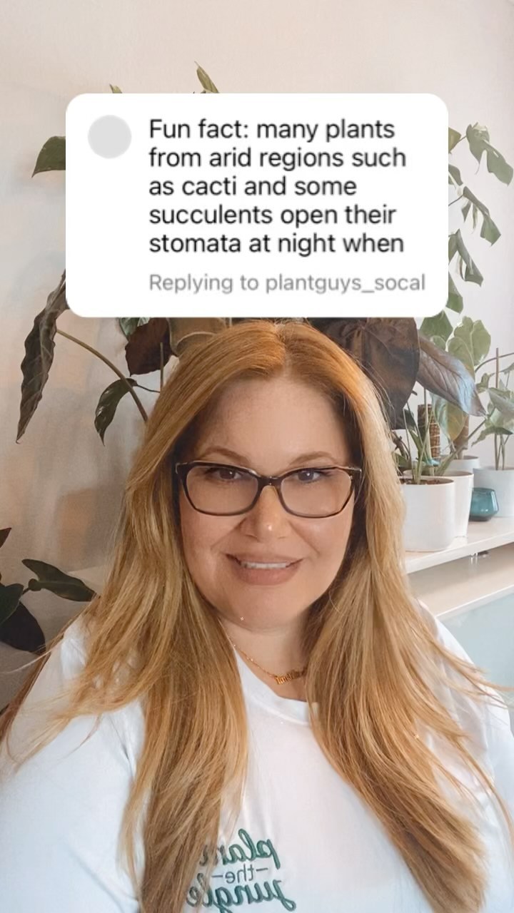 Sharing your fun facts during earth month🌍 Share your tips, tricks or questions you want answered 👇
*
*
*
*
#plantsofinstagram
#planttips
#plantmom
#rareplants
#plantsmakepeoplehappy
#latina