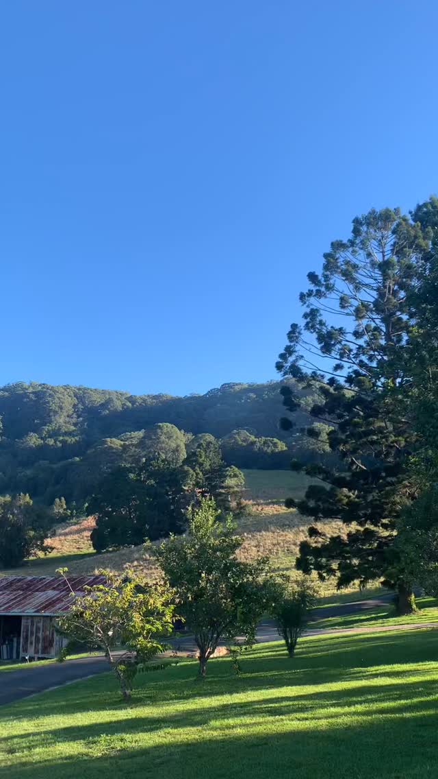 We’re seeing incredible demand for 2025 and into 2026 — and like any accommodation business, we’re occasionally left with short gaps between bookings. If you’re flexible with planning, you can host your retreat at our farm for just $1,650 per night!
Bookings include all accomodation (22 beds, 14 bathrooms) and unlimited use of the wellness facilities including Odin ice bath, infra red sauna, magnesium pool and private nature trails.
✨August Tues 6th - Fri 8th
✨August Sun 17th - Thurs 21st
🗓️August Sun 24th - Tues 26th BOOKED
✨August Tues 26th - Thurs 28th
✨August Sun 31st - September Thurs 4th
🗓️October Sun 5th - Wed 8th BOOKED
✨October Tues 14th - Thurs 16th
✨October Sun 19th - Tues 21st
✨December Mon 15th - Fri 19th
Minimum 2 night booking. We are here to help with any retreat questions, to book in your dates or arrange a tour of our farm. Email info@wybalenaorganicfarm.com.au or head to our website to receive our host brochure.