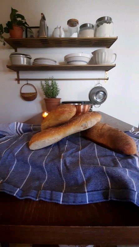 Bonjour! Bonjour!
Baguette π₯π₯π₯
.
.
.
.
.
#homemaker #homemade #wearethehomemakers #breadbaker #tradwife #betterfromscratch #sahm #catholichomemaker #homecooking #homesteadlife #homestead #bread