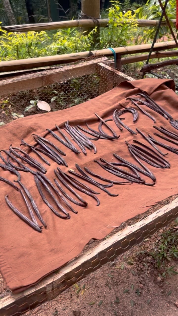 The rain has been unusually heavy for the last few weeks and today we are blessed with glorious sunshine!
#sun #saturday #spices #happy #sunnyday