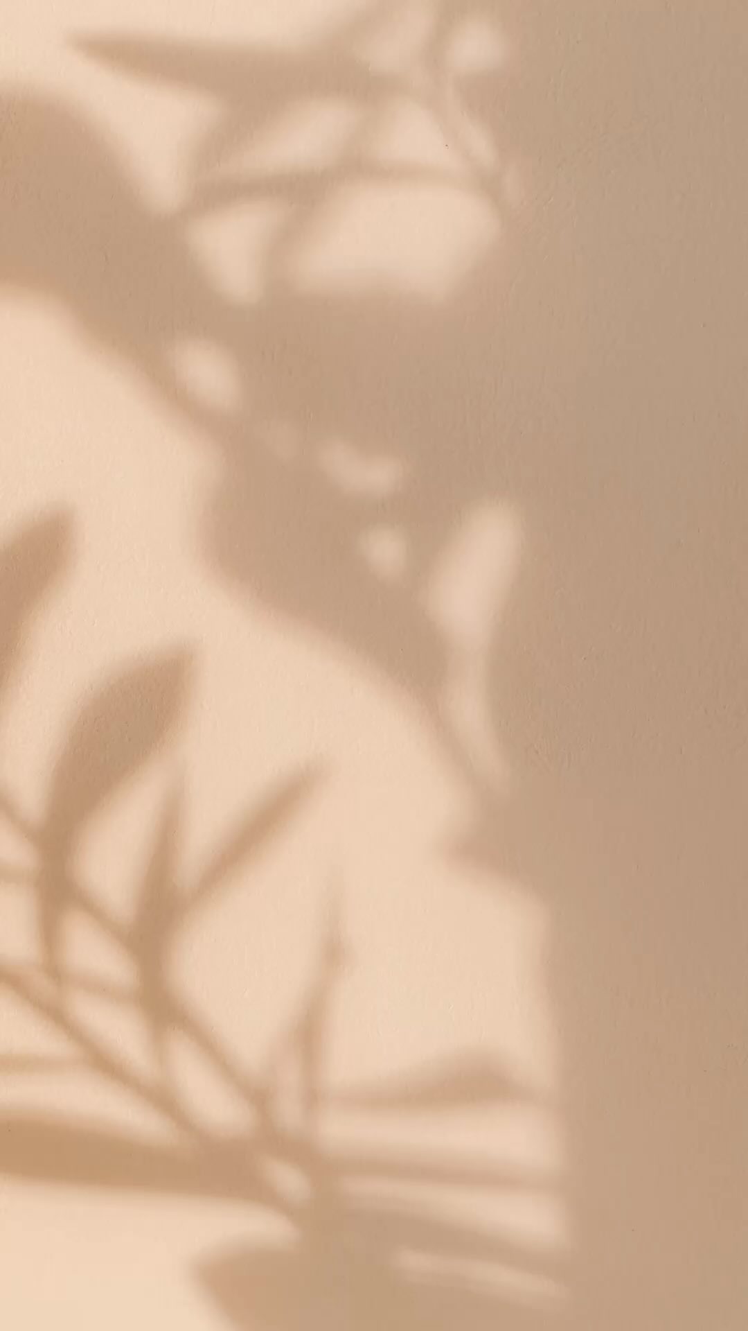 Step in front of that mirror and give yourself a high-five!🙌🏻💕 #selflove #selfcare #selfworth #womenempowerment #womensupportingwomen #womenempowerment #womeninbusiness #womenempoweringwomen #womenleaders #womeninspiringwomen #women #appreciate #highfives #cheers #yougotthis