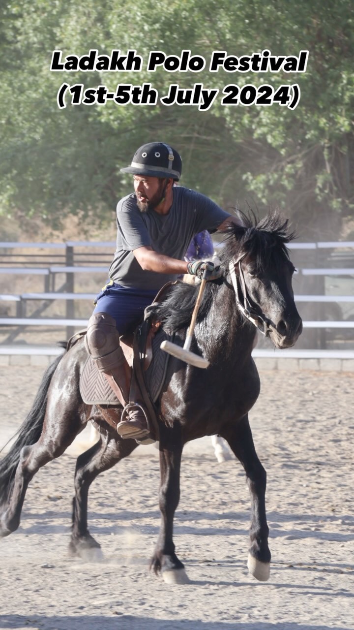 Experience the thrill of tradition at the Polo Festival in Ladakh! Join us from 1st July to 5th July 2024 at the Shagaran Polo Ground in Chuchot for an authentic celebration of Ladakhi culture and heritage.
#CuratedExperiences #OffbeatAdventures #LadakhUnfiltered #ladakhbackpackers #trendingreels