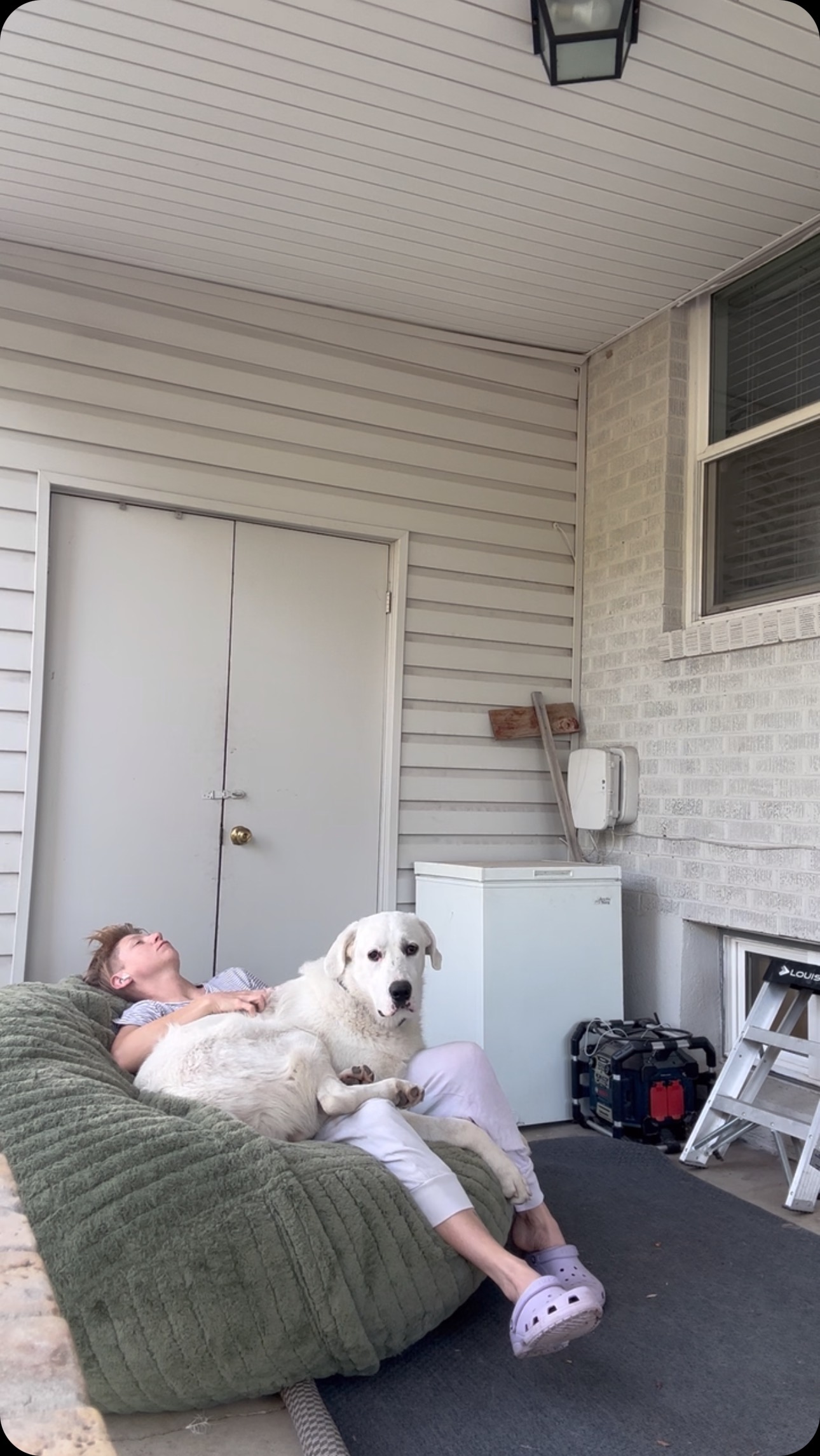 Soaking up our final Utah summer mornings, 5 weeks until we leave. Getting a livestock guardian dog before moving to the farm was a deliberate choice we made to ensure he has proper socialization, since we will be somewhat isolated in VA. Over 100 people have come through the sanctuary this month and this guy has been an allstar. But damn are we ready for him to have room to stretch his legs! Thanks to everyone who has come to the sanctuary this month and given this dude love. Our giant bouncing baby bison polar bear little devil.