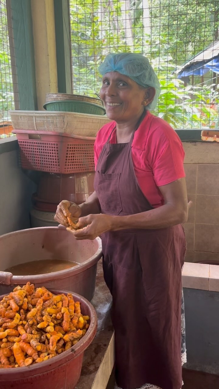 “How do you say Yellow in Sinhala?”
…. “Kaha” … Perfect!!!
#yellow #language #srilanka #happy