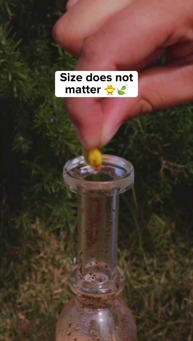 🦆✨ Dive into the fun with Scrubber Duckys: the most delightful way to clean your tubes! 🛁💦 These aren’t just any bath toys – our magnetic scrubbers stick around to make sure every nook and cranny shines bright. 🧼✨
Watch as these vibrant, cheerful duckys turn your cleaning routine into a playful adventure, scrubbing away dirt and grime with ease. Made from high-quality, durable materials, Scrubber Duckys are here to bring a splash of joy and cleanliness to every bath! 🛀
Why settle for boring sponges when you can add a touch of whimsy with these hardworking, magnetic pals? 🌈🦆 With Scrubber Duckys, cleaning has never been this fun or easy!
Check out our older videos to see these charming duckys in action – scrubbing, splashing, and spreading smiles all around! 🌟 Don’t forget to like, comment, and share this post with friends who need a bit of fun in their cleaning routine. Follow us for more adorable and innovative cleaning hacks! 💚🧽
#ScrubberDuckys #MagneticScrubbers #BathTimeFun #CleanAndCute #SqueakyClean #BathTimeJoy #AdorableCleaners #HomeHacks #CleaningTips #HappyBathing #BubbleBathMagic
New Glass Giveaway coming next week.
Follow @stephen_boehme to stay ahead
🤘🐥🤙