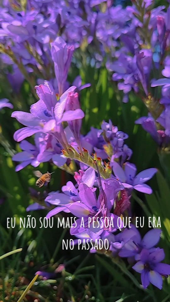 🪻🐝
Eu não sou mais a pessoa que eu era no passado
e nem tão pouco a pessoa que eu era cinco minutos atrás.
E se tem algo que é certo nessa vida
É a eterna mudança, a eterna transformação.
Existem coisas que nós dávamos muito valor,
Mas que hoje já não fazem tanto sentido.
No entanto, a vida nos surpreende a cada momento
E passamos a dar valor a coisas que nunca imaginamos antes.
Texto por: @cristian_voigt
#texto #textos #terapeuta #terapia #vida
