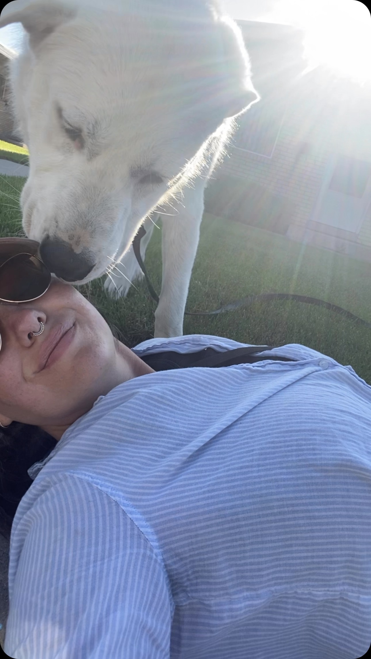 Walking Oquirrh is never dull. 8 months old and who knows how many lbs.
.
.
#livestockguardiandog #greatpyrenees #greatpyreneesofinstagram #greatpyreneespuppy #akbashdog #akbashofinstagram #akbashpuppy #akbashmix #anatolianpyrenees #anatolianpyreneesmix #giantpuppy #giantbreedpuppy #rescuedog #adoptdontshop