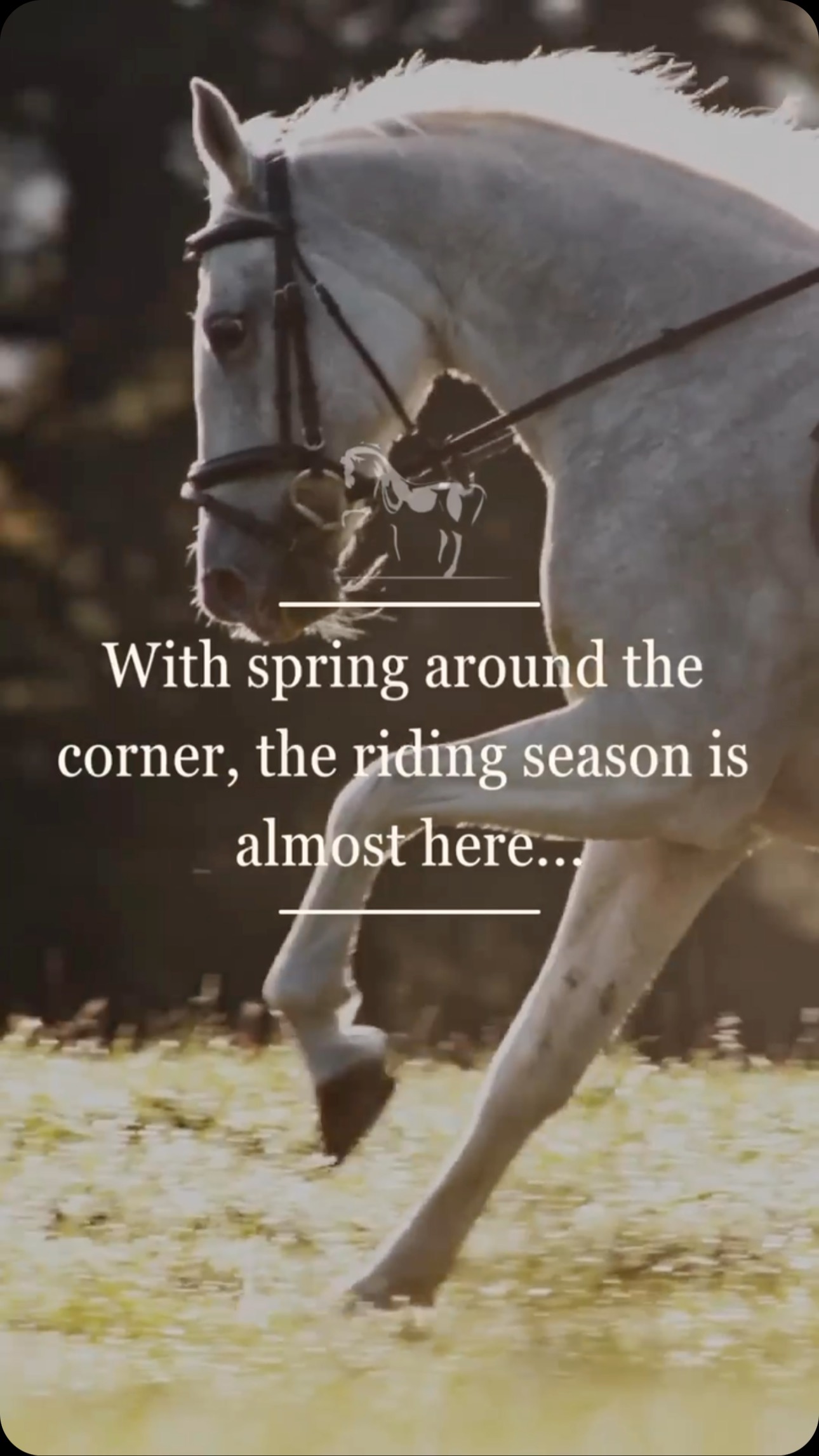 The riding season is on the horizon! 🐎✨ Are you ready to take on the challenge? #RideIntoSpring #JumpIntoAdventure