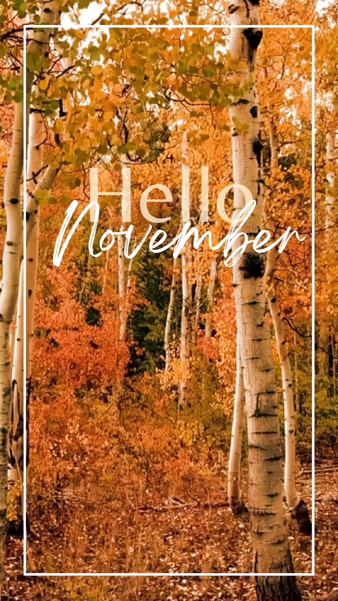 Fall is here! Time to wrap up those late stage summer projects to get settled and cozy for the holidays!
We’d love to create whatever you can dream; give us a call and I’ll bring my team!