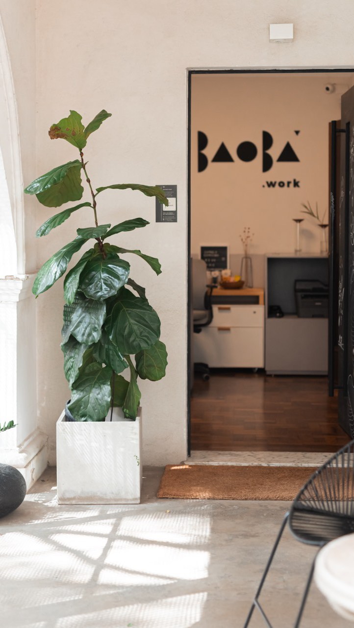 Descubra como o Baobá Work pode transformar a experiência da sua empresa!
Nossos espaços são pensados para receber clientes e colaboradores com conforto, elegância e funcionalidade. Venha conhecer nossa infraestrutura completa e veja como podemos elevar sua marca a um novo patamar.
Agende uma visita e sinta a diferença! 🚀