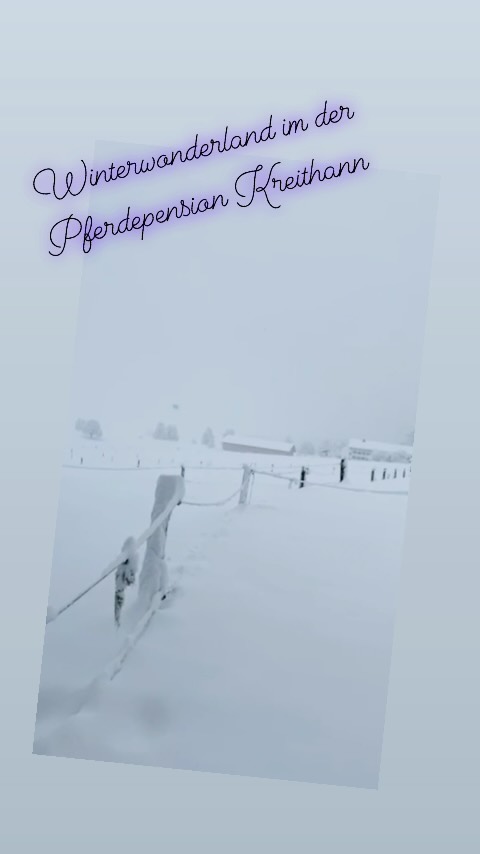 Winterwonderland in der Pferdepension Kreithann #pferdepensionkreithann #reitstallkreithann #winterwonderland #pferdeglück #pferdeliebe #ilovewinter #happyhorse
