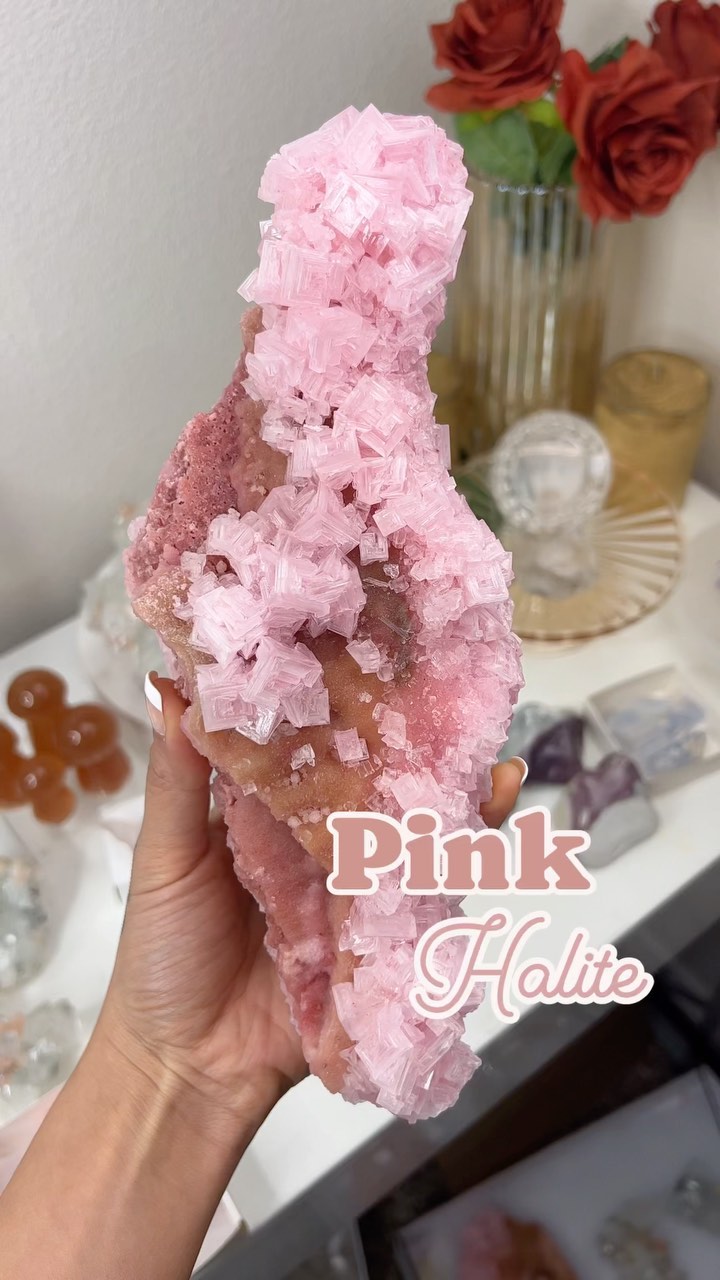 💞Super exxxtttrrra Pink Halite from Owens Lake, CA 💞
We were super lucky to snag a flat of these super saturated PINK pieces from Tucson. By far the BEST quality of pink Halite I have ever seen! This vendor apparently has a ‘secret spot’ of where this particular Halite is mined from, which produces this ultra juicy pink color.
Check out my recent stories for the remaining available pieces 💞
#pinkhalite #halite #pink #pinkhalitecluster #pinkhalitecrystal #pinkhalitesalt #pinkhalites #love #pinkcrystals #valentines #crystalsforlove #minerals