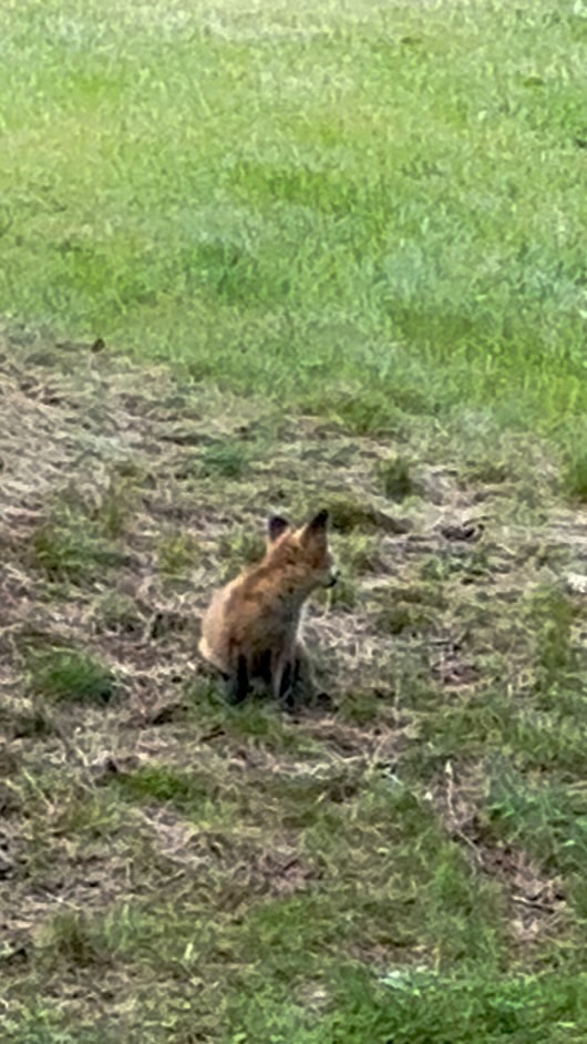 Blessed to be able to experience the wild life