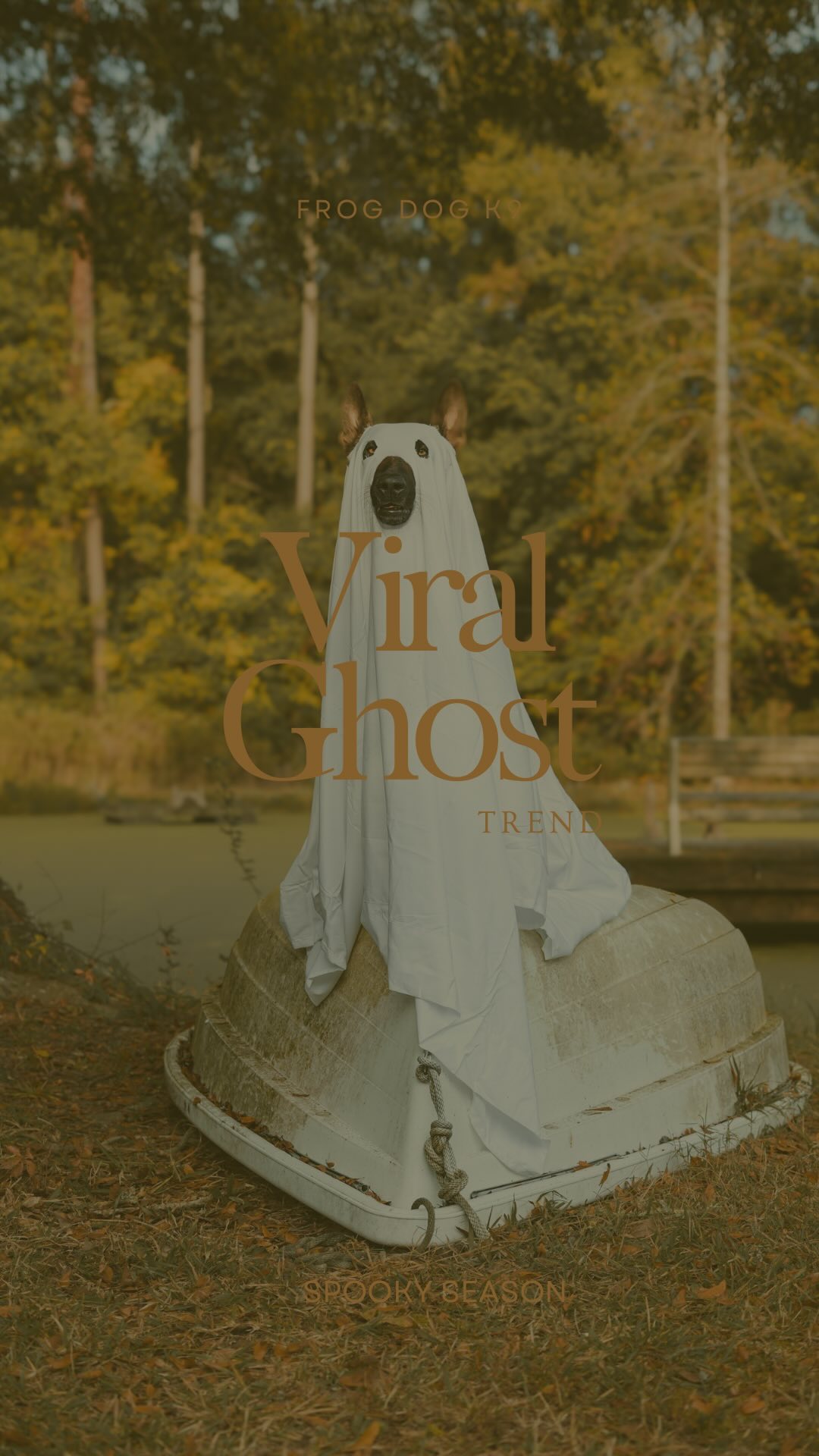 If you thought we were scary before... 👻 you haven’t seen nothing yet!
Comment your halloween costume below!
Photo & Video By: @kb_content_
#viral #ghosttrend #ghost #dogtraining #dogtrainer #puppylove #yellowlab #dutchsheppard #dutchie #belgianmalinois #supportthetroops #k9 #veternanowned #veteran #serviceanimal #suicideawareness #nonprofit #charity #servicedog #usa #patriot #757 #Chesapeake #virginiabusiness #virginiaevents #suicideprevention #therapydog