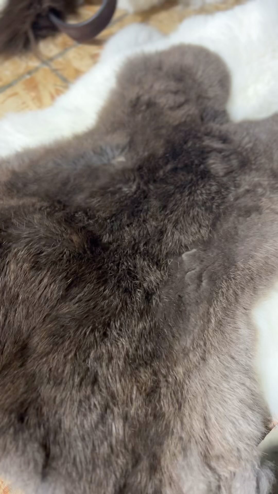 Rabbit furs are special for some reason 😊 so fluffy and soft and varied! Finished my first rabbit batch, 42 skins in all. Looking forward to see what my customer makes with them.
#angelostannery #northwesttanning #sustainablefur #rabbitfur #wildcrafting