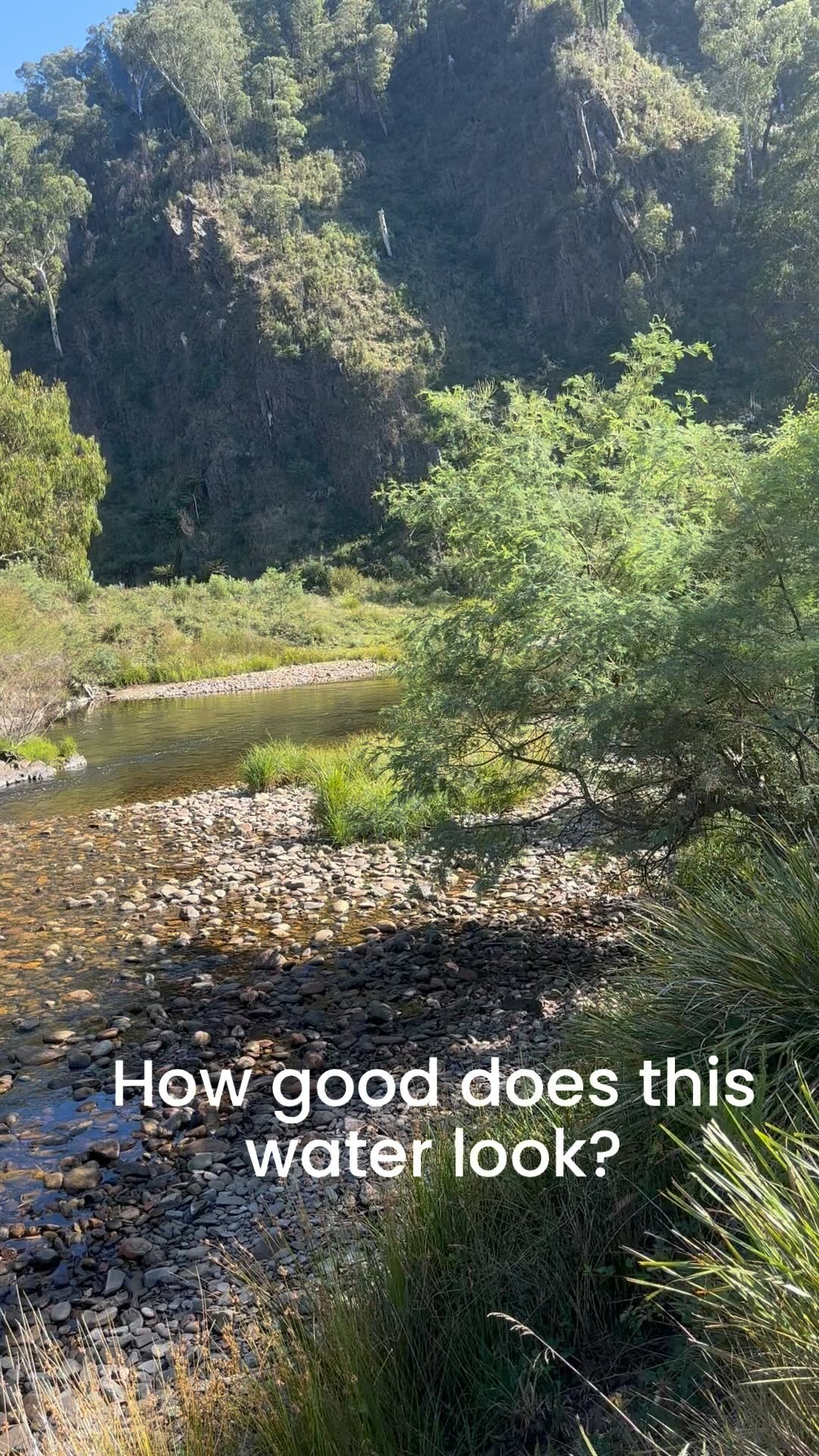 There is nothing like the feeling of fishing a stretch of water for the first time.
#flyfishingaustralia #flyfishingnz #dryflyfishing #dryfly