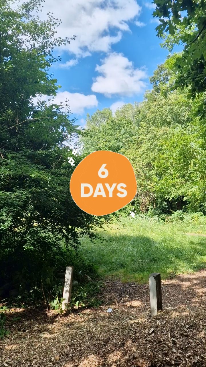 I'm so excited! 6 days to go until forest school sessions start in this beautiful hidden gem! Just listen to the leaves rustling. It feels so peaceful.