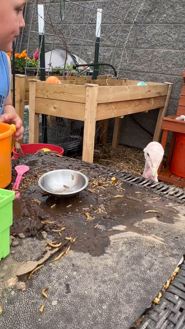 The happiest mud kitchen cafe customers 🦃