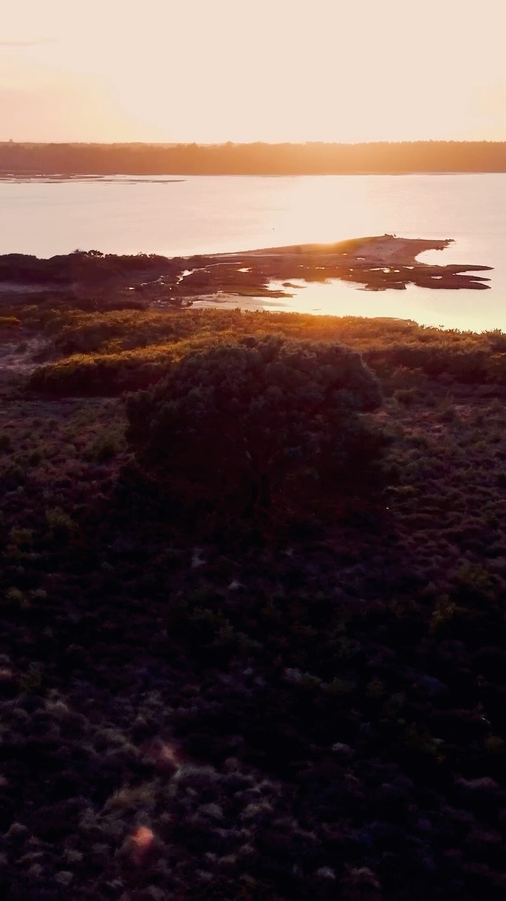 What you think, you become. What you feel, you attract. What you imagine, you create.
#positivity #highvibrations #myescapism #neverstopexploring #vitaminsea #wild #countryside #dronephotography #naturephotography #sunset #pooleharbour #sandbankspoole #studland #studlandbay
@lovepooleuk
@visitdorsetofficial
@thisissandbanks