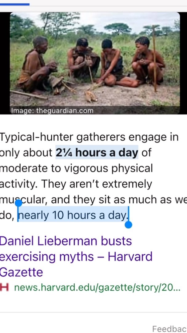 Hunter gatherers were more sedentary than you think
#floorliving #grounded #ergonomic #evolution #biology #sapiens #natural #fitness #primal #primalmovement