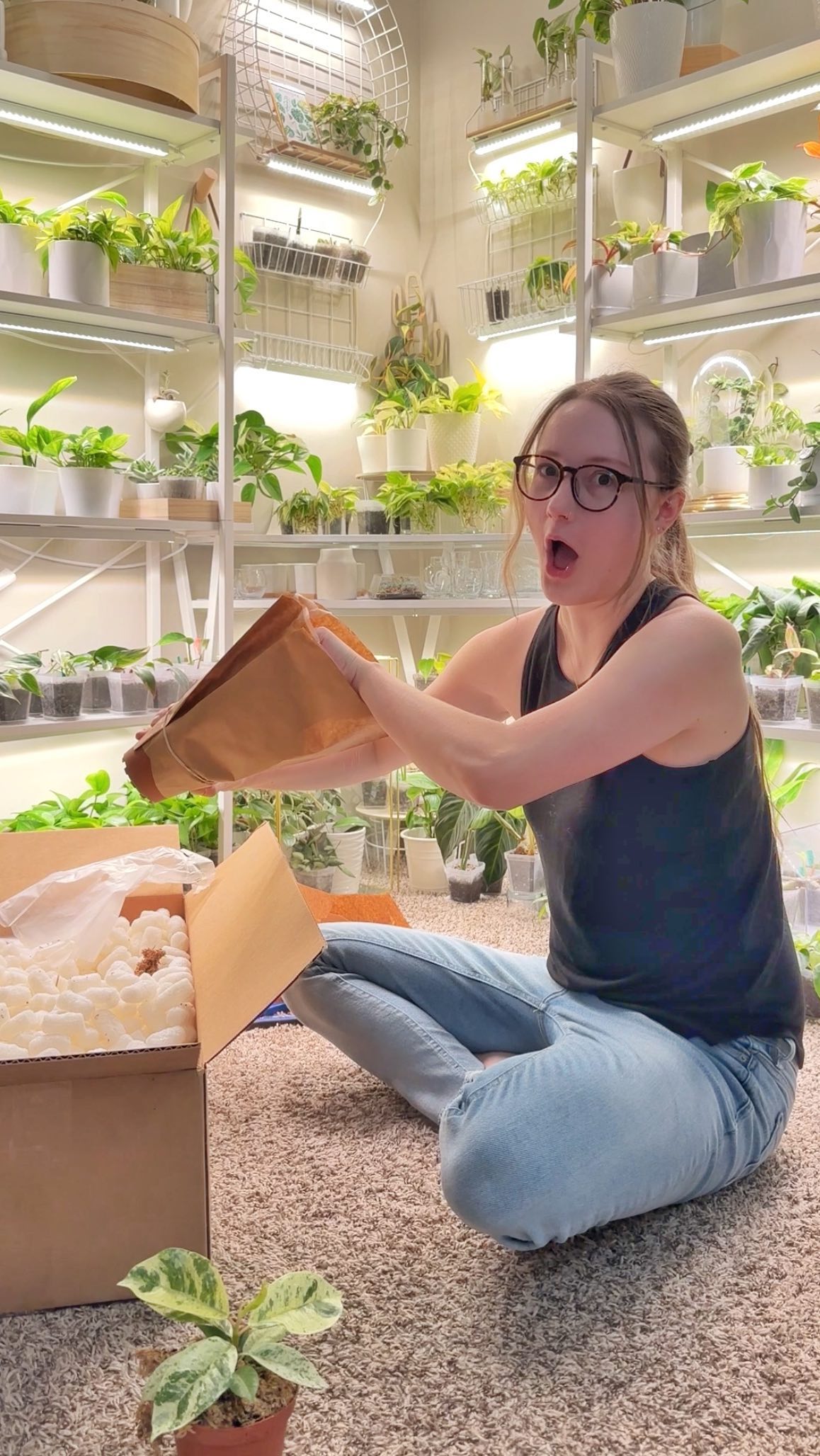 ‼️ NOT A REENACTMENT. This was my actual reaction to seeing this #scindapsuspictusplatinum 😂 I’ve never seen one of these in person and oh man it’s gorgeous.
I got this box from @bwhplantco just a week before our wedding! Better late than never 🫣
I am in love with both of these plants and all the other goodies! 🤩 Izzy was also very excited about all of it 😂
The plants have been growing beautifully since I received them and are SO healthy. Stay tuned for photos & updates!
‼️ Comment “links” and I’ll DM you all my favorite products and special discount codes! 🤗
They have so many more plants I’ve been eyeing 👀
#collab #affilate #gift #plantunboxing #unboxing #scindapsuspictus #scindapsusplatinum #rarescindapsus #ficusshivereana #ficus #rareficus #rarehouseplants #discountcode #discountcodes