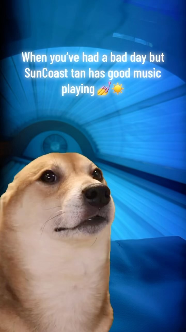 Serving up good vibes daily!☀️ Helping to improve your mood and get you sunkissed one tan at a time.
New fall specials will be sent to your inbox soon! Visit www.SunCoastTan.net to get on our email list for tanning discounts and special offers.
#tanningnearme #tanningsalon #lighttherapy #ineedatan #taninspo #glowup