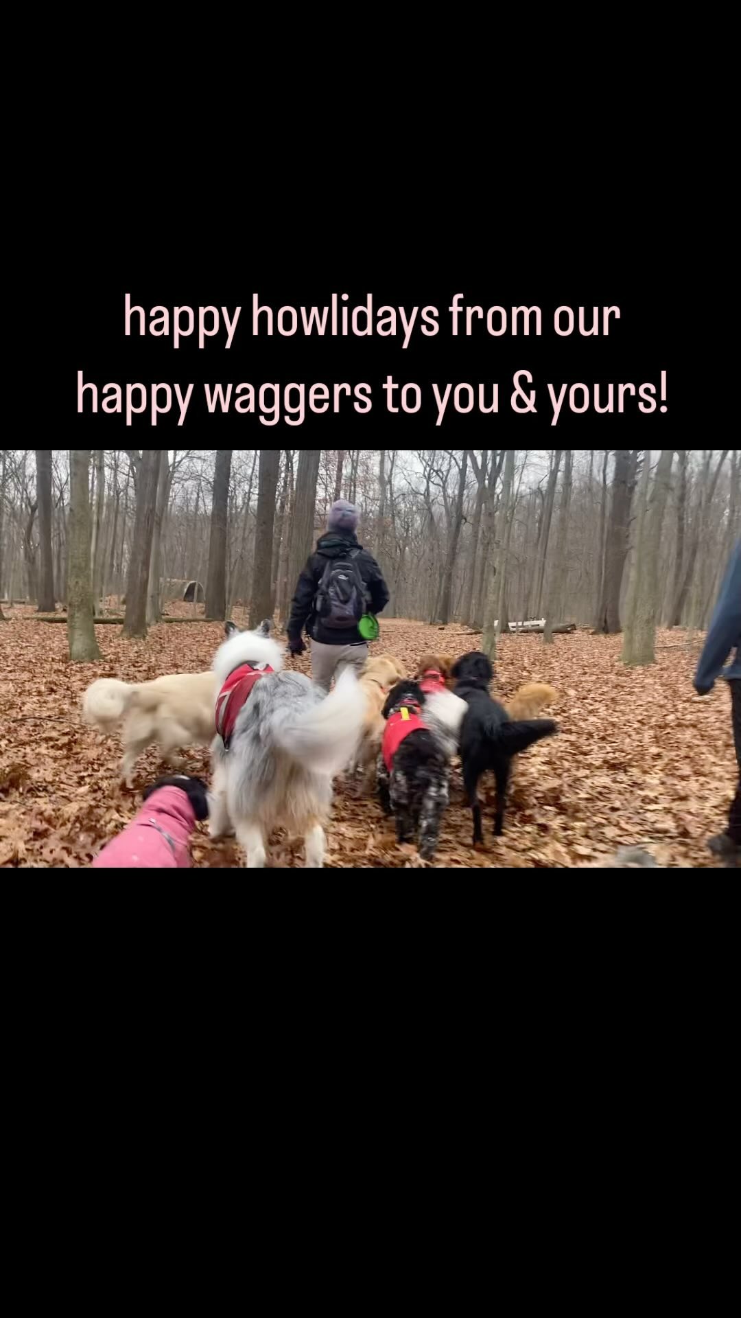 2023 ending with unconditional love, peace, and uncontrollable tail wags! We are continually humbled by our incredible clients’ unwavering love, support, and trust - now - and for the last 8 years! Seeing the happiness and joy on our furry kids faces is truly the greatest gift of all. Here’s to an even more adventurous 2024, cheers! 🐶🥾🏔