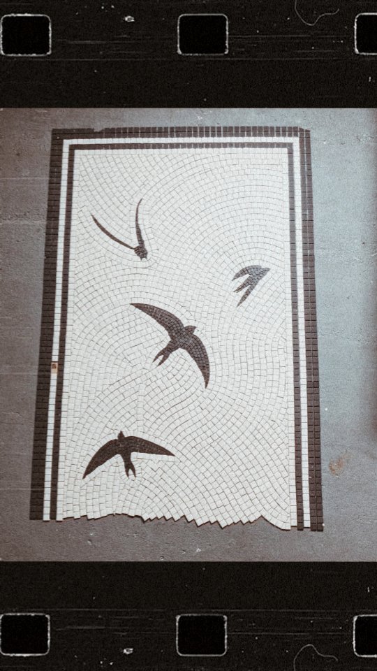 Would you like a besloke entrance hall that reflects you and your own unique style?
Email us info@themosaicstudio.com to start your design journey โจ
#designjourney #britishbirds #swifts #swiftbird #ornithology #britishbirdlovers #uniqueinteriors #bespokeflooring #bespokedesign #luxuryinteriors #highendhomes #classicaldesign #classydesign #highendinteriors #luxurydesigner #bringingideastolife #essexdesign #londondesigners #bespokearchitecture #architecturaldetails